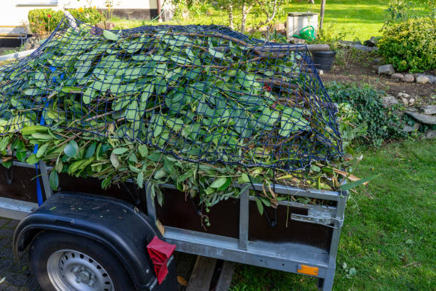 Shed Removal in Charlevoix, MI
